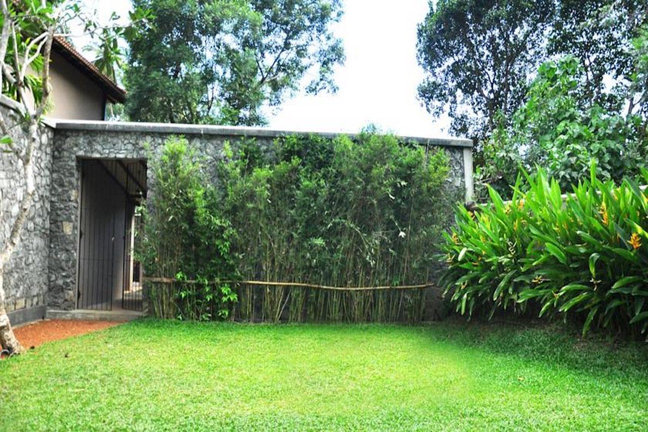 Roman Lake Ayurveda Boutique Resort - Level 1 Certified アフンガラ エクステリア 写真