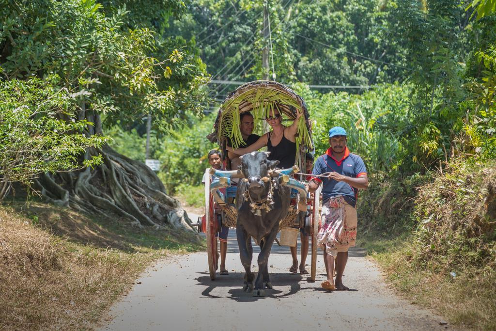 Roman Lake Ayurveda Boutique Resort - Level 1 Certified アフンガラ エクステリア 写真