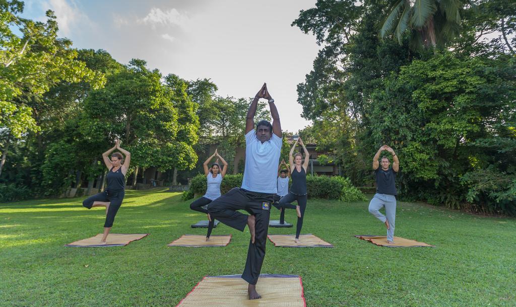 Roman Lake Ayurveda Boutique Resort - Level 1 Certified アフンガラ エクステリア 写真