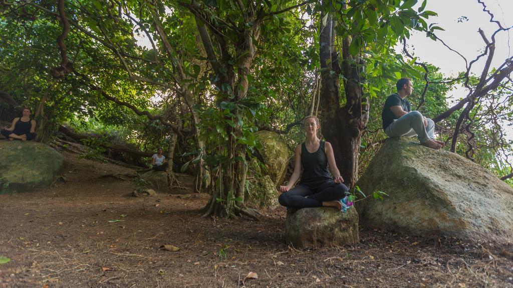 Roman Lake Ayurveda Boutique Resort - Level 1 Certified アフンガラ エクステリア 写真