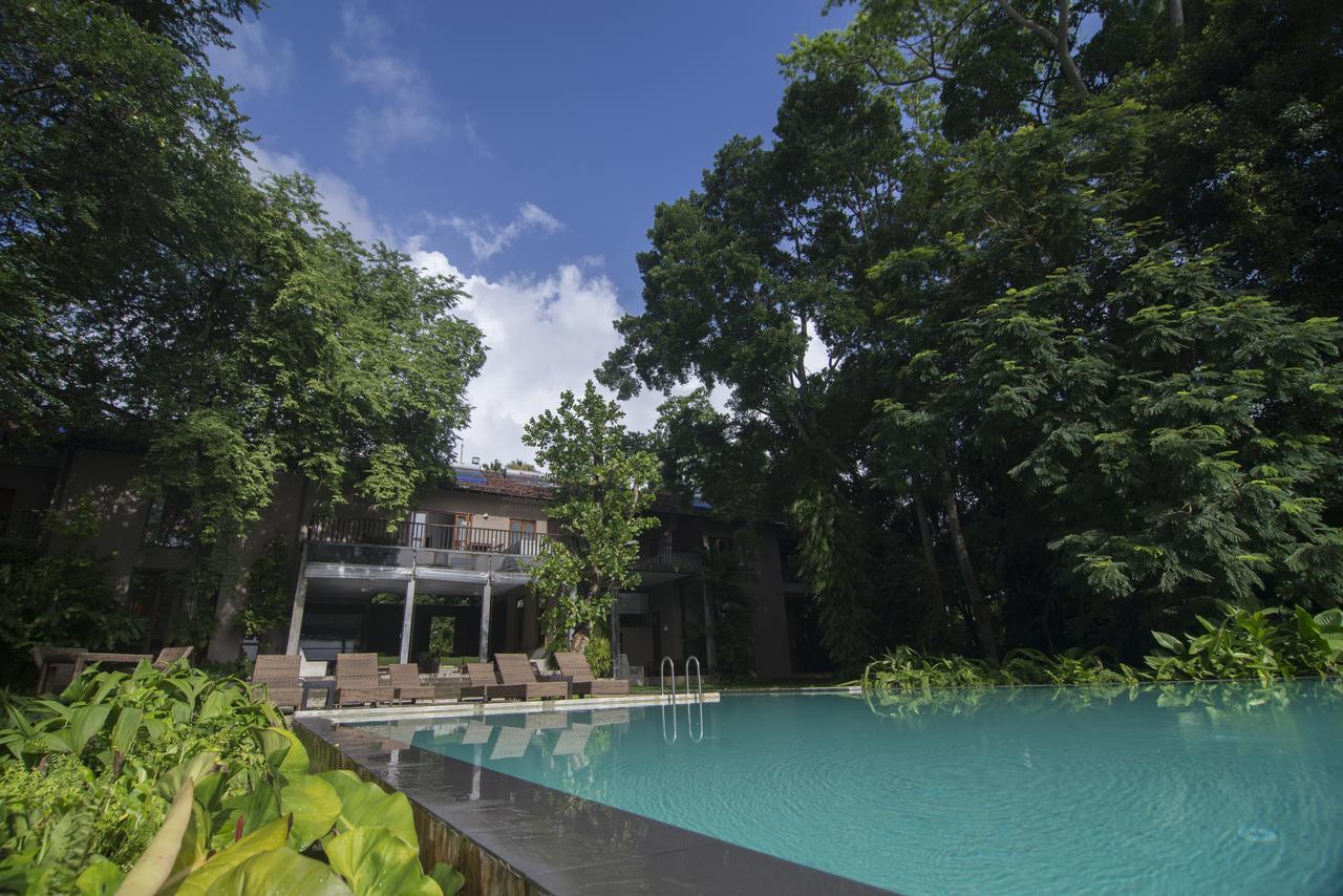 Roman Lake Ayurveda Boutique Resort - Level 1 Certified アフンガラ エクステリア 写真